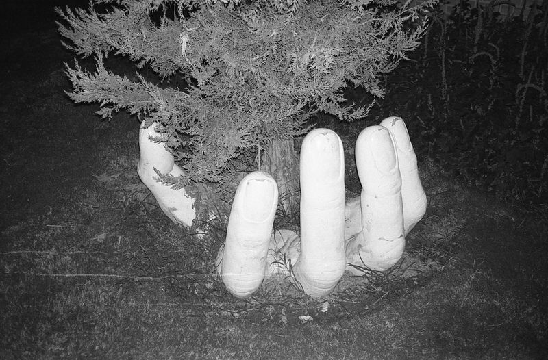 © Ali Shams - Image from the War Within photography project