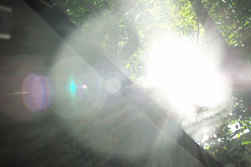 © Juan Pablo Ampudia - Image from the Trapped In My Own Body photography project