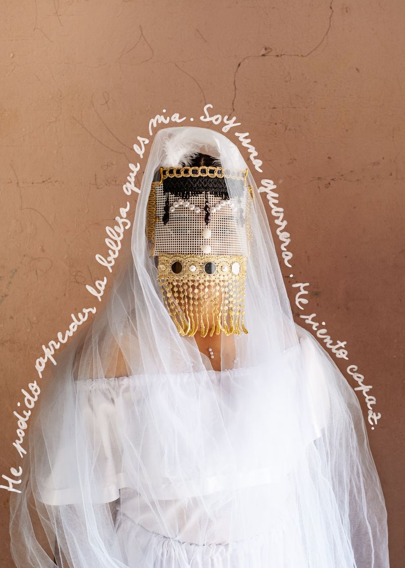 © Blast Delphine - Image from the The retreat of the butterflies photography project