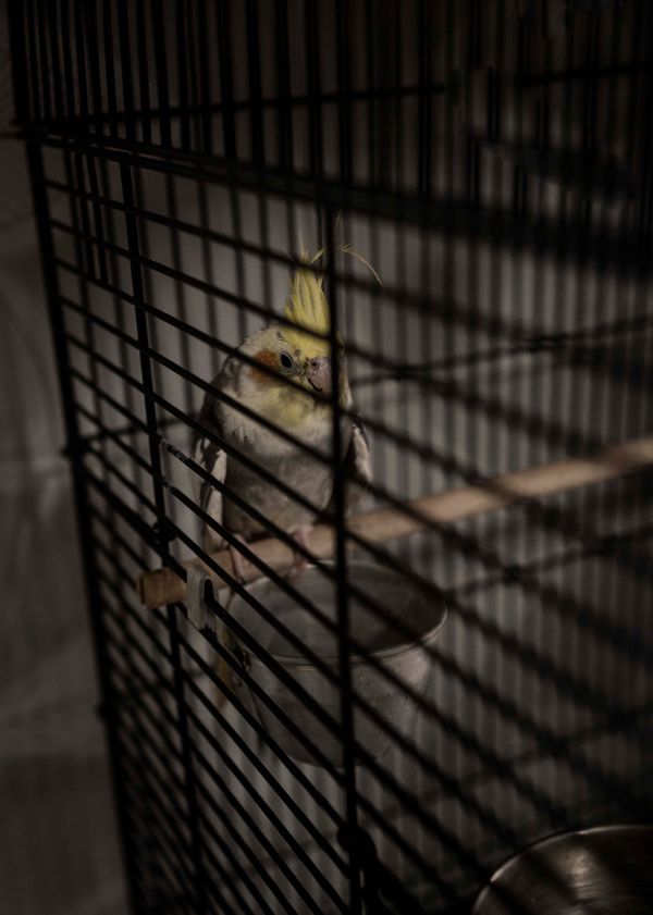 © Blast Delphine - Image from the THE LABYRINTH OF SHADOWS photography project