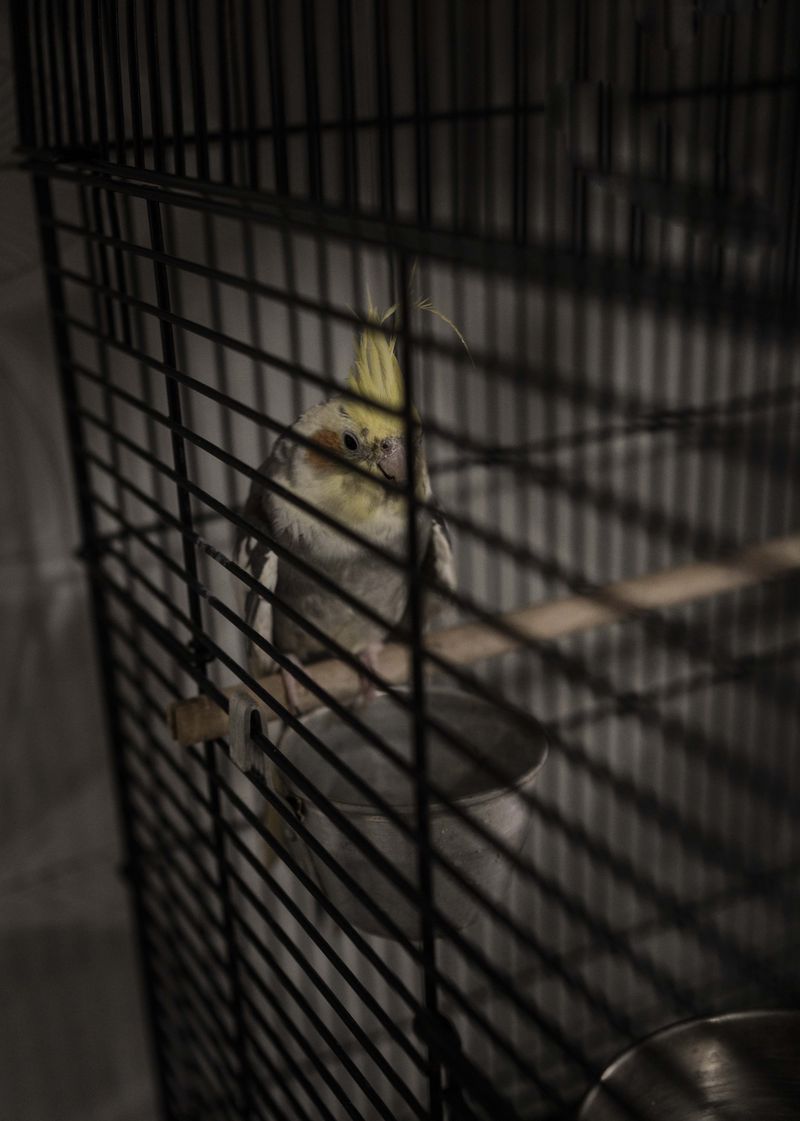 © Blast Delphine - Image from the THE LABYRINTH OF SHADOWS photography project