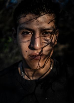 THE LABYRINTH OF SHADOWS