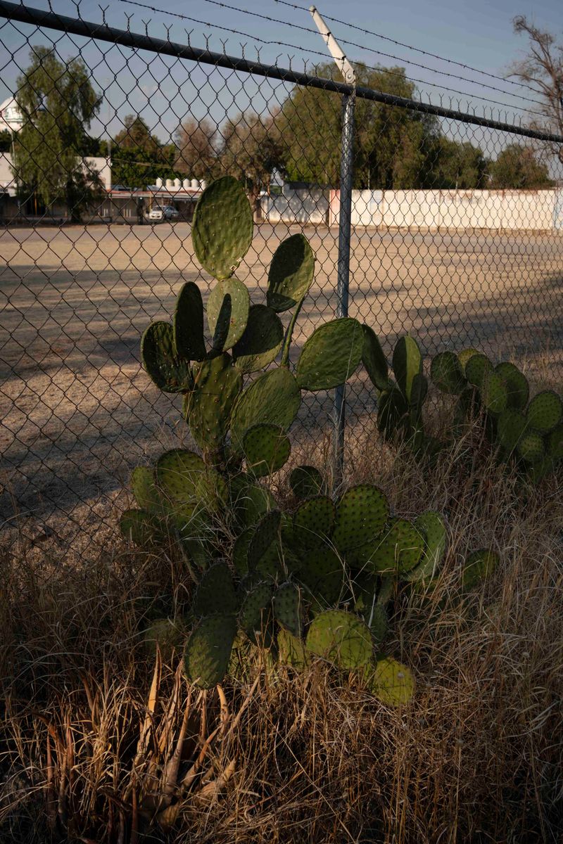 © Blast Delphine - Image from the THE LABYRINTH OF SHADOWS photography project