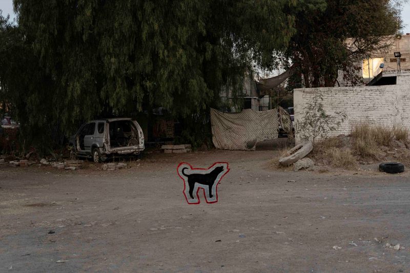 © Blast Delphine - Image from the THE LABYRINTH OF SHADOWS photography project