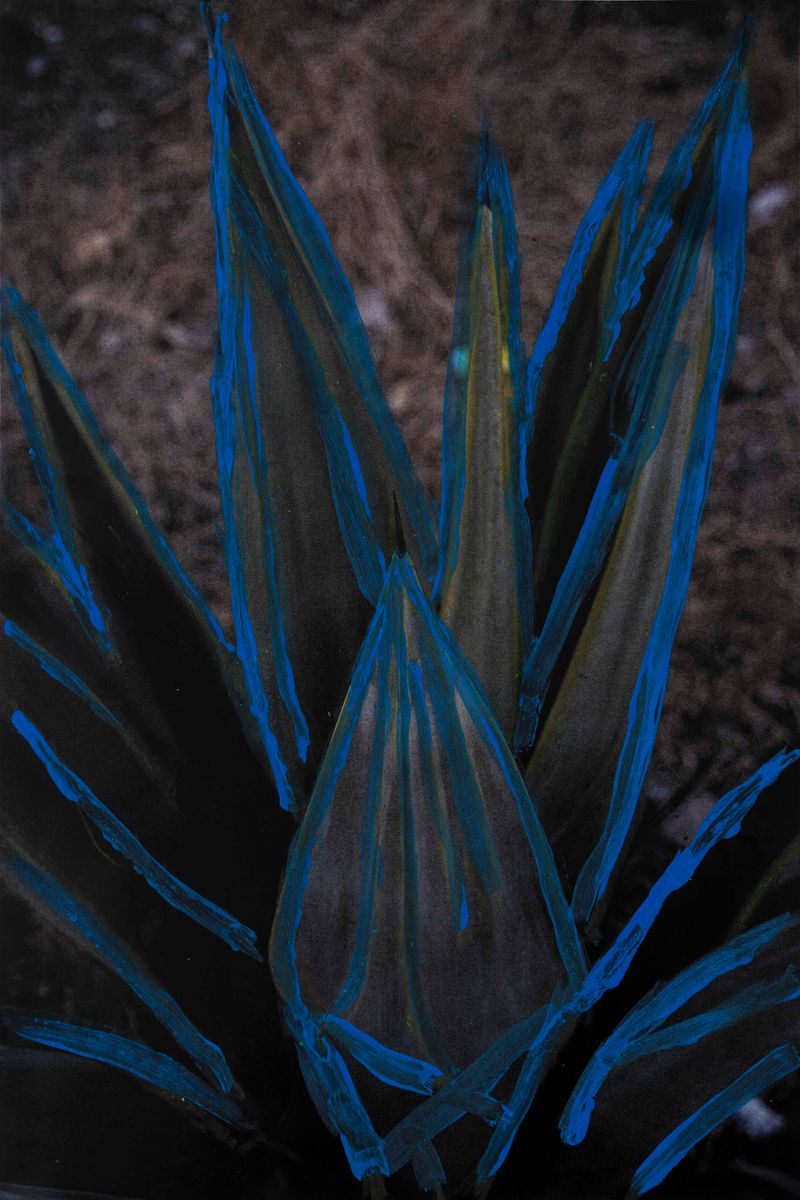 © Blast Delphine - Image from the THE LABYRINTH OF SHADOWS photography project