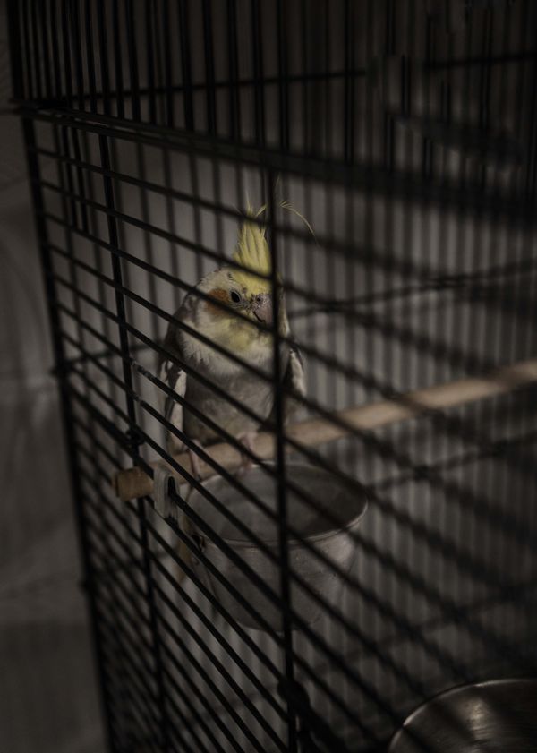 © Blast Delphine - Image from the THE LABYRINTH OF SHADOWS photography project
