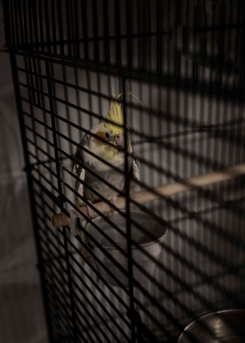 © Blast Delphine - Image from the THE LABYRINTH OF SHADOWS photography project