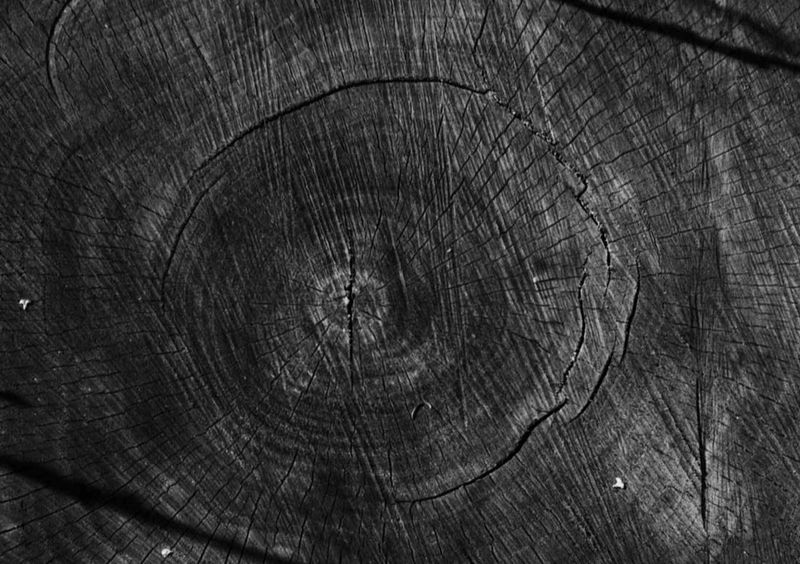 © Gaia Bonanomi - Image from the SOIL TO SOUL photography project