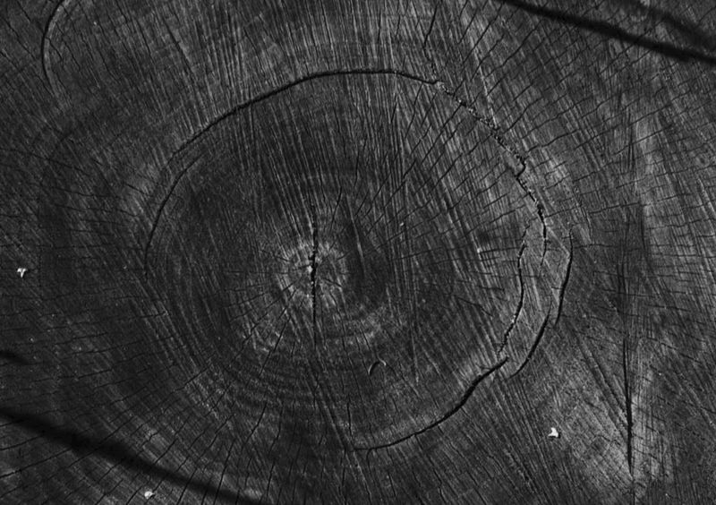 © Gaia Bonanomi - Image from the SOIL TO SOUL photography project