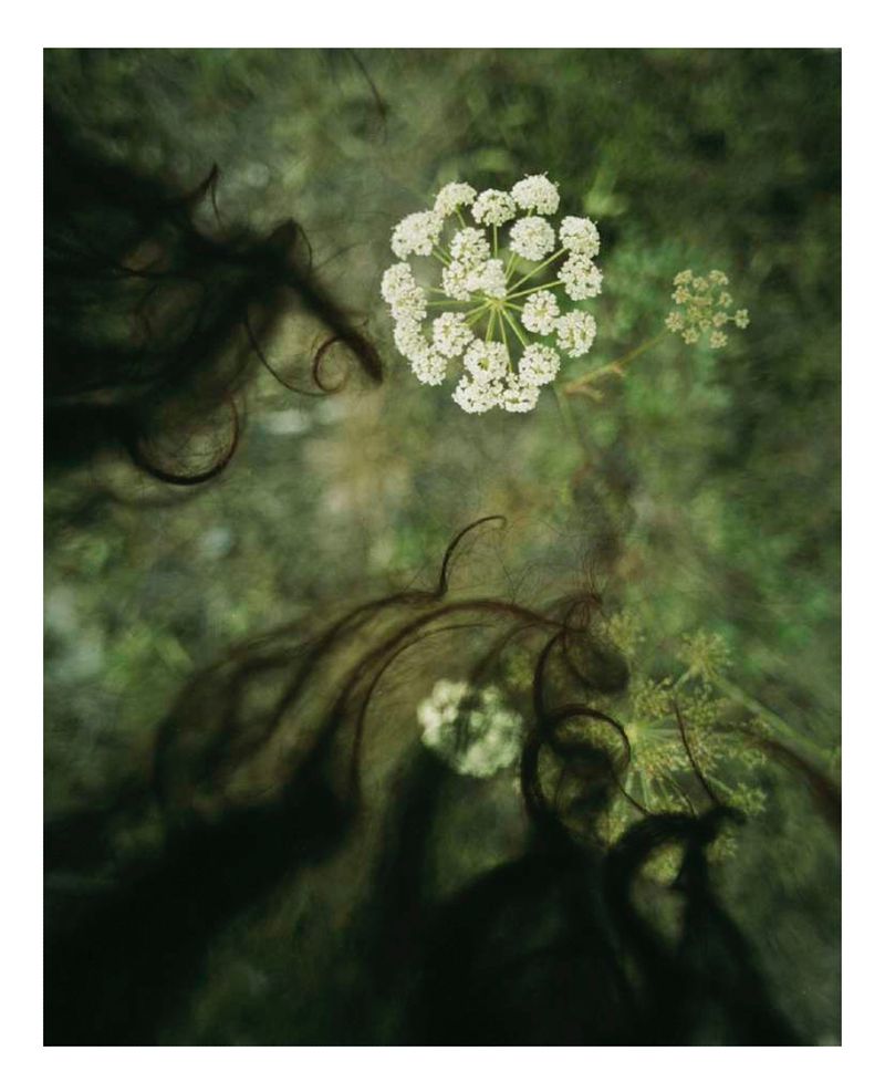 © Gaia Bonanomi - Image from the SOIL TO SOUL photography project