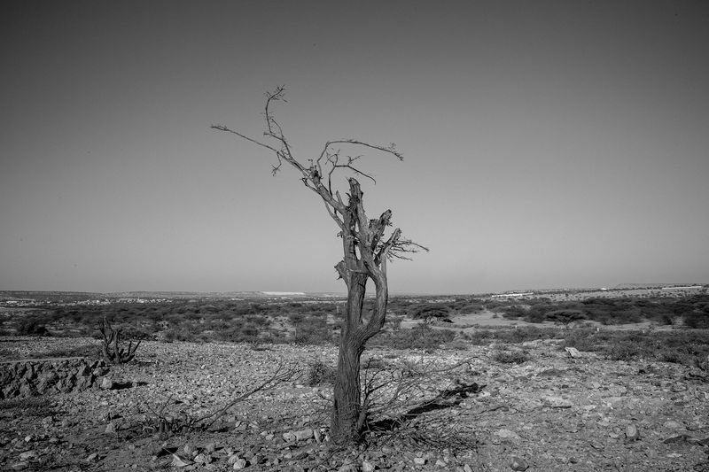 © Mustafa Saeed - Image from the Heavy photography project