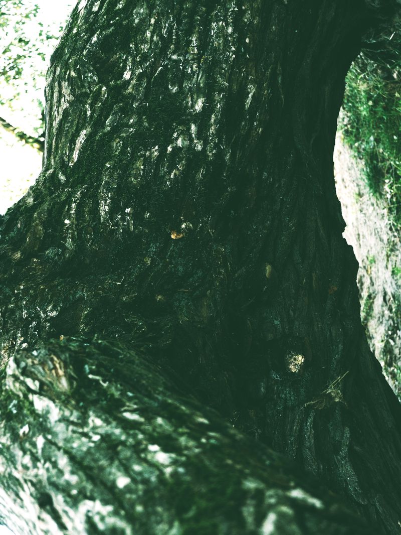 © Tanya - Image from the Woman – Nature photography project