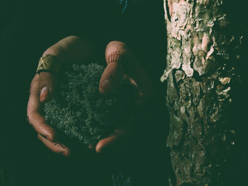 © Tanya - Image from the Woman – Nature photography project