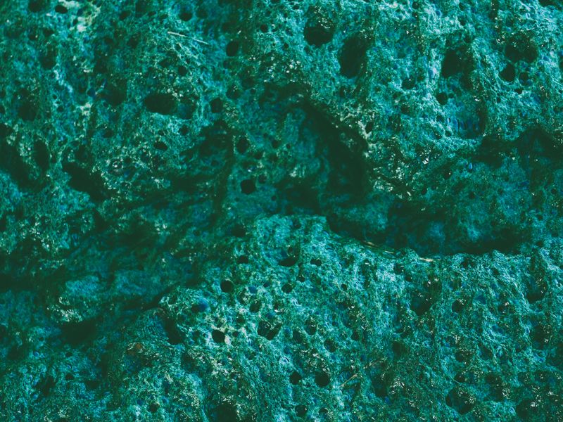 © Tanya - Image from the Woman – Nature photography project