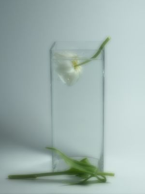 The right to make a mistake