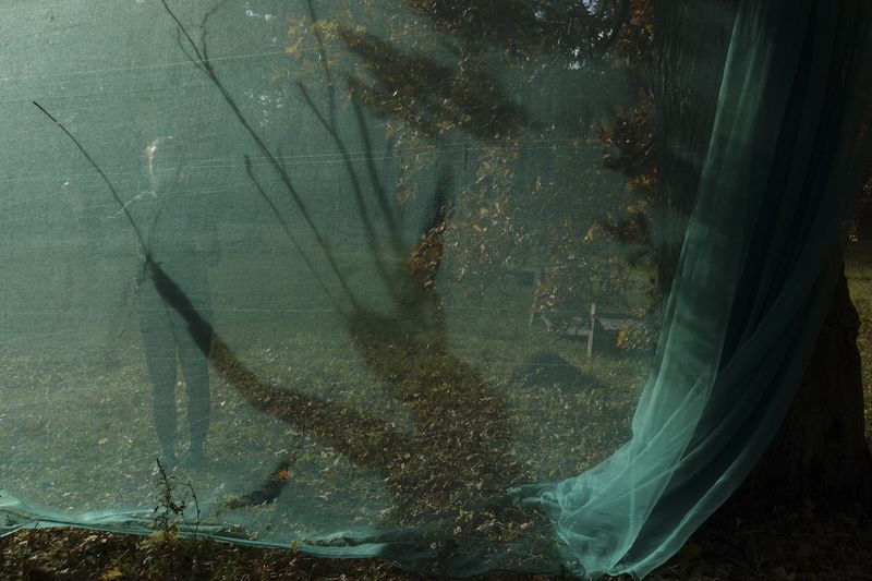 © Elena Kholkina - Image from the Reenchantment photography project