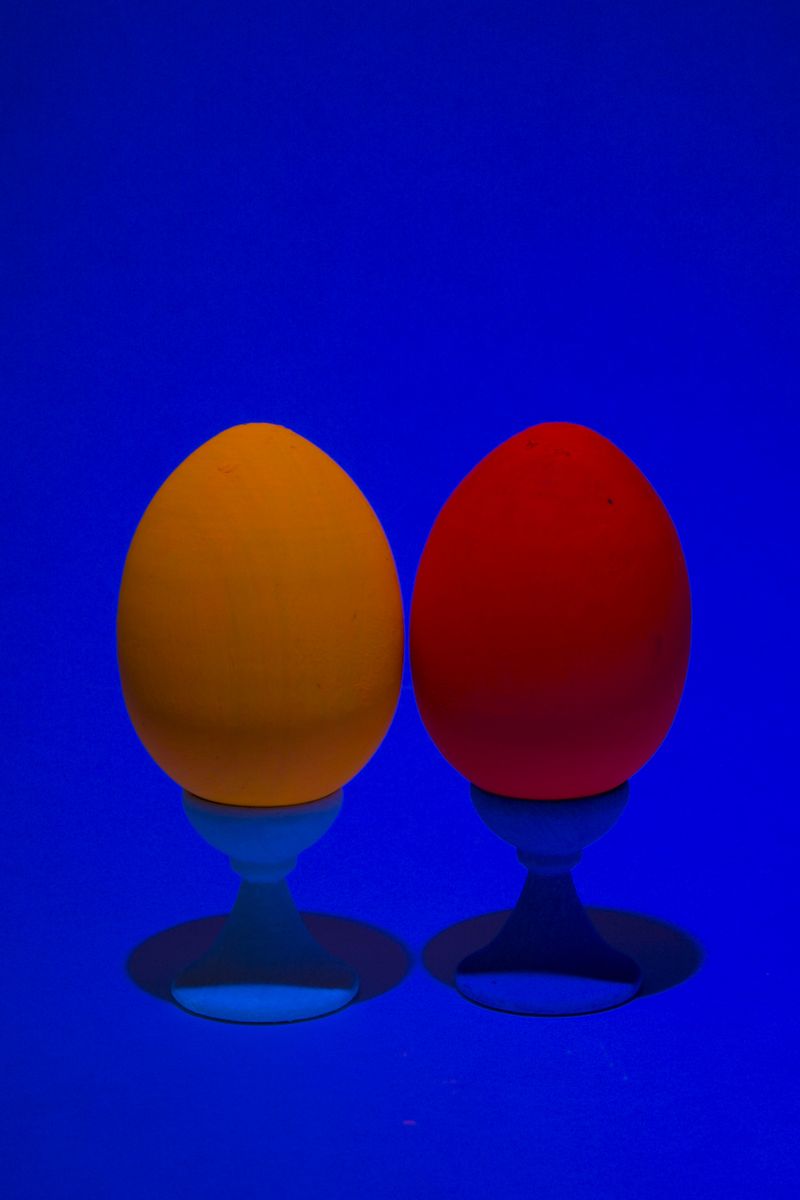 © Elena Kholkina - Image from the Reenchantment photography project