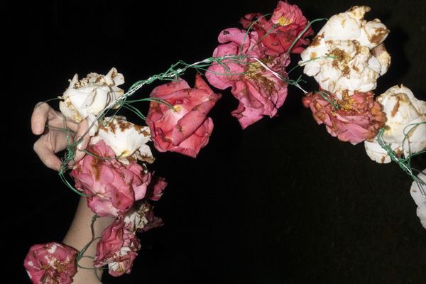 © Elena Kholkina - Image from the EVErgreen photography project