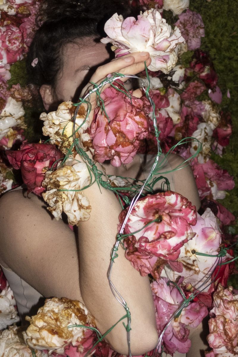 © Elena Kholkina - Image from the EVErgreen photography project