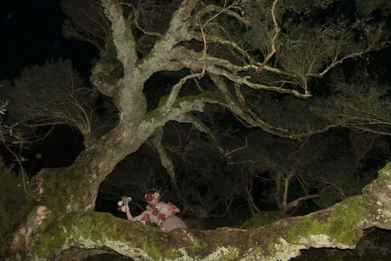 © Elena Kholkina - Image from the EVErgreen photography project