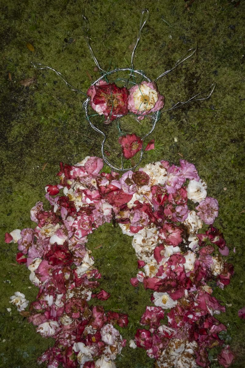 © Elena Kholkina - Image from the EVErgreen photography project