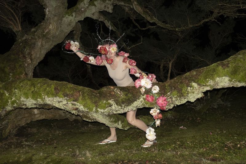 © Elena Kholkina - Image from the EVErgreen photography project