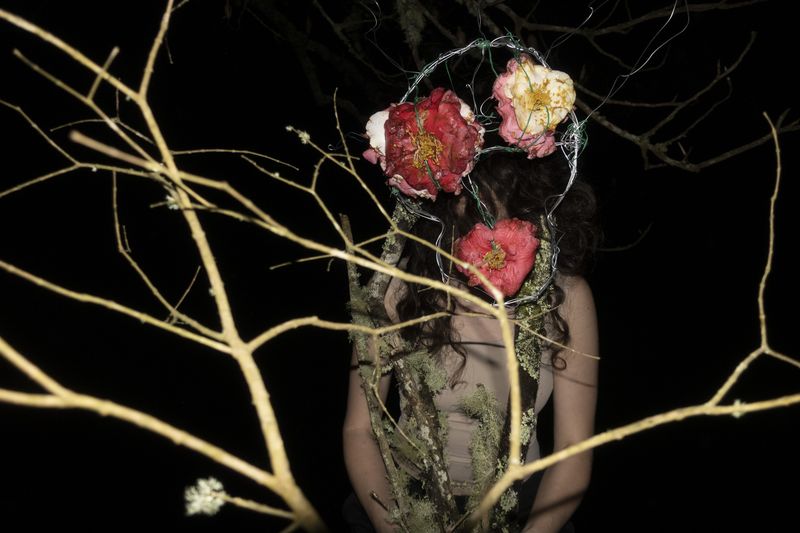 © Elena Kholkina - Image from the EVErgreen photography project