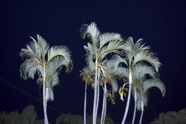 © Javier Kaplan - Image from the sleep paralysis photography project