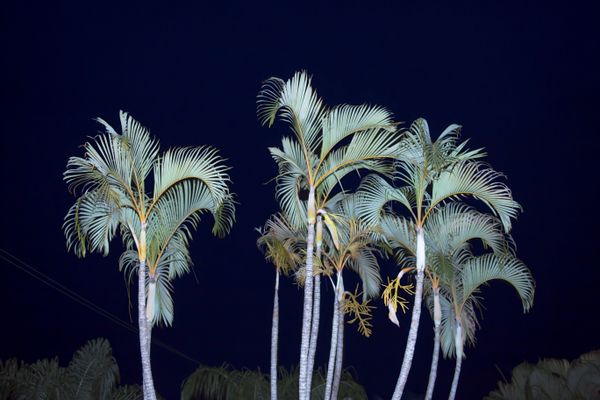 © Javier Kaplan - Image from the sleep paralysis photography project