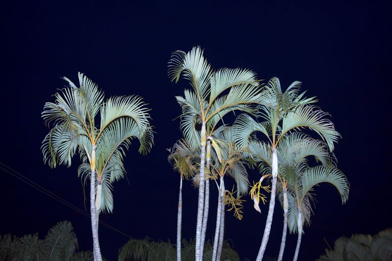 © Javier Kaplan - Image from the sleep paralysis photography project