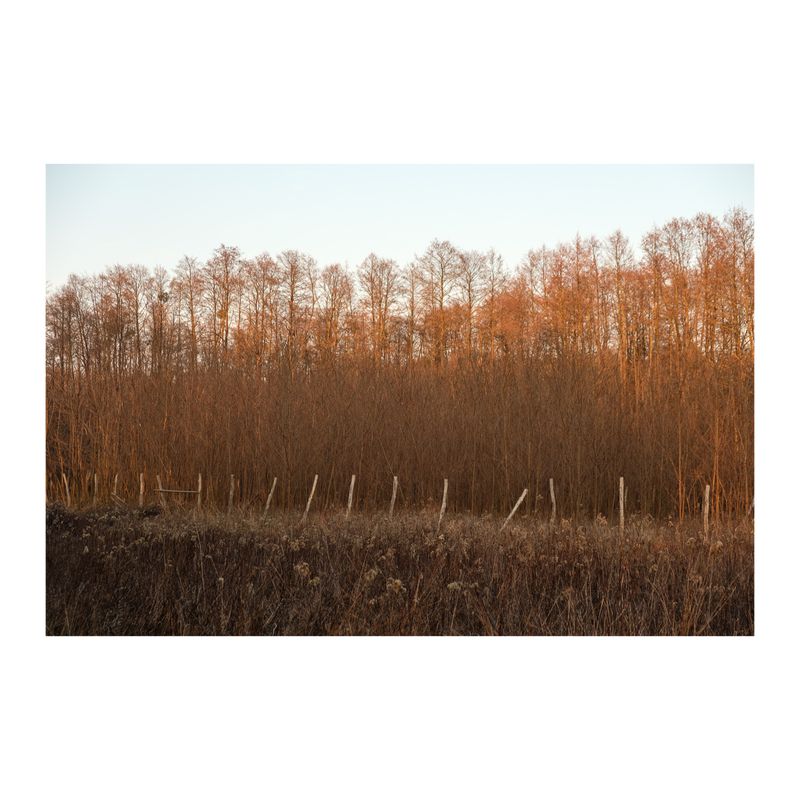 © Daniel Halasz - Image from the Village Project photography project