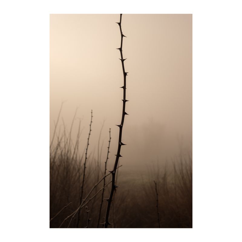 © Daniel Halasz - Image from the Village Project photography project