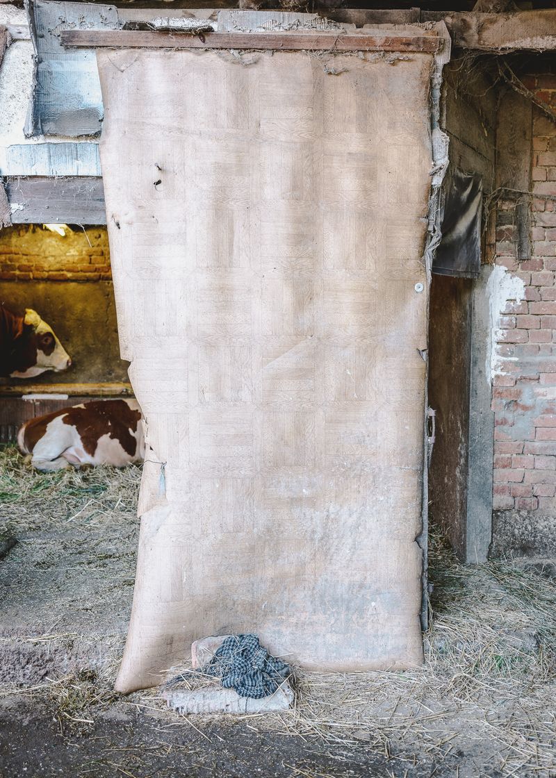 © Daniel Halasz - Image from the Falu photography project