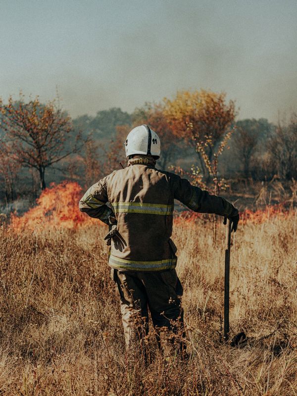 2024 Professional Winner - Edward Matthews