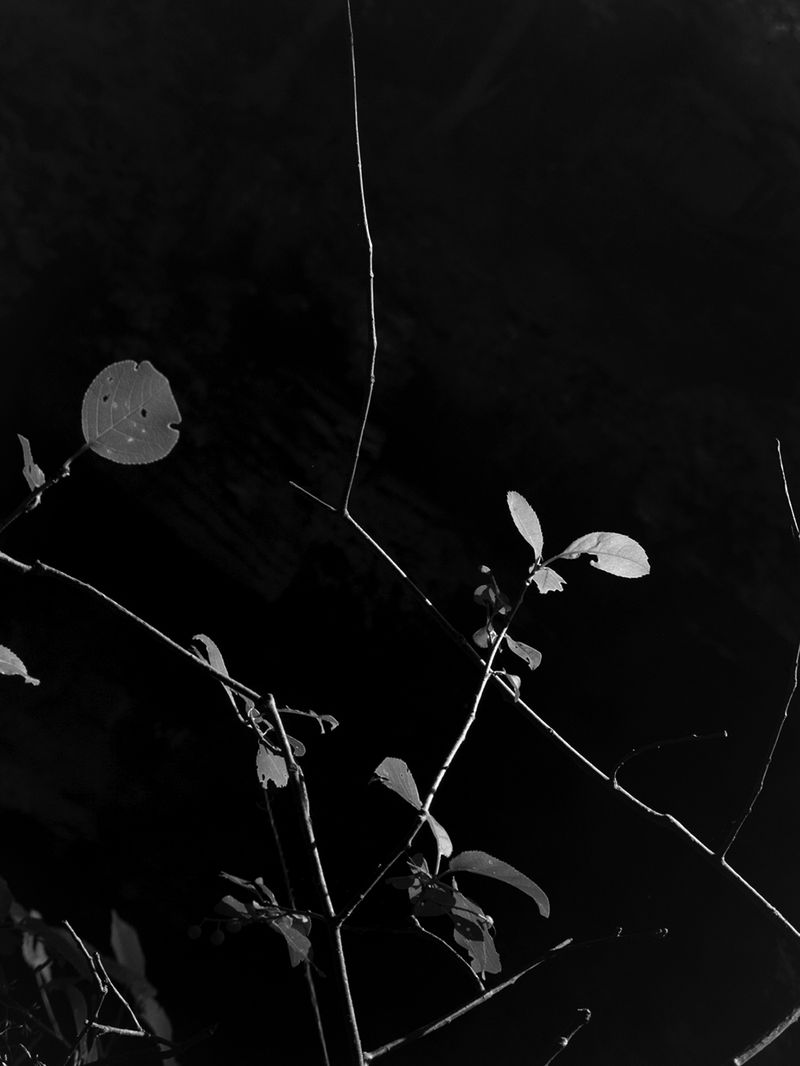 © Raymond Meeks - Image from the Halfstory Halflife photography project