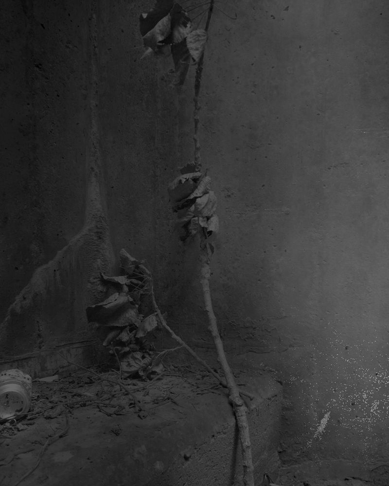 © Raymond Meeks - Image from the Halfstory Halflife photography project