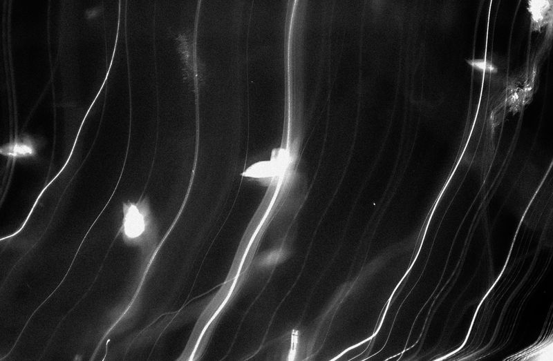 © Vera Xia - Image from the The Nocturnal photography project
