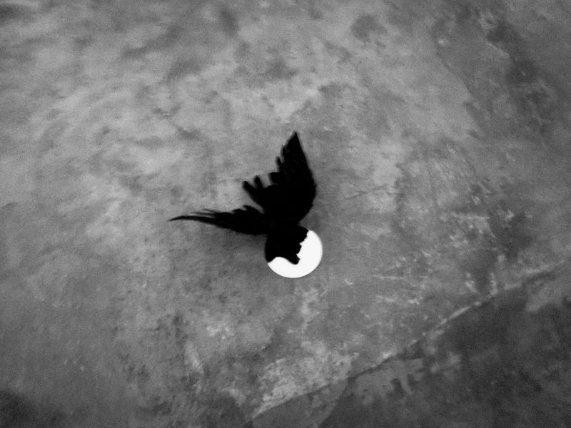 © Vera Xia - Image from the The Nocturnal photography project