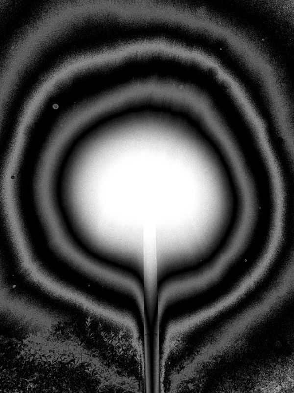 © Vera Xia - Image from the The Nocturnal photography project