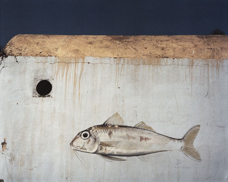 © Farida Hamak - ©Farida Hamak /Regard Sud galerie. Empreintes, Port de Kratten, Île de Kerkennah, Tunisie, 2022. Procédé argentique.