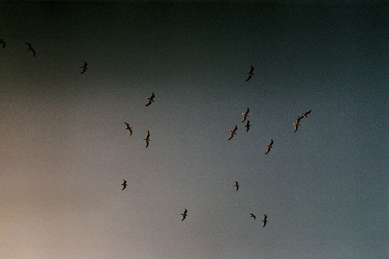 © Farida Hamak - Image from the Empreintes by Farida Hamak photography project
