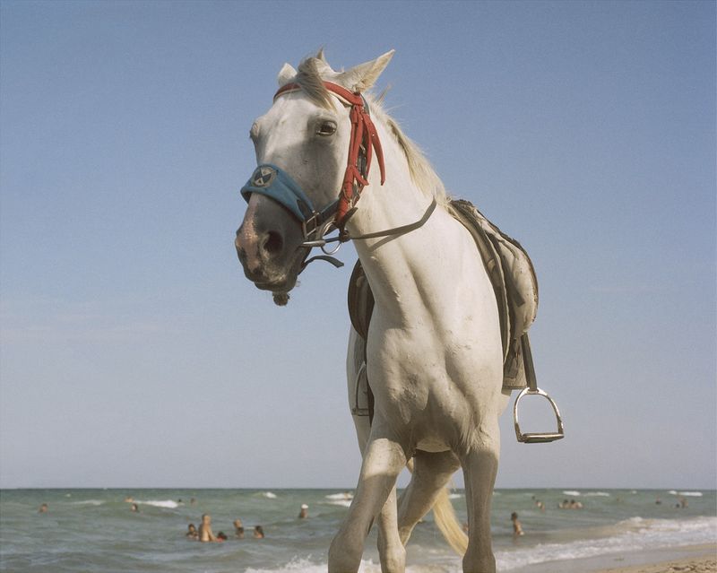 © Farida Hamak - ©Farida Hamak /Regard Sud galerie. Sans titre, Midoun Djerba,Tunisie, 2022. Procédé argentique.
