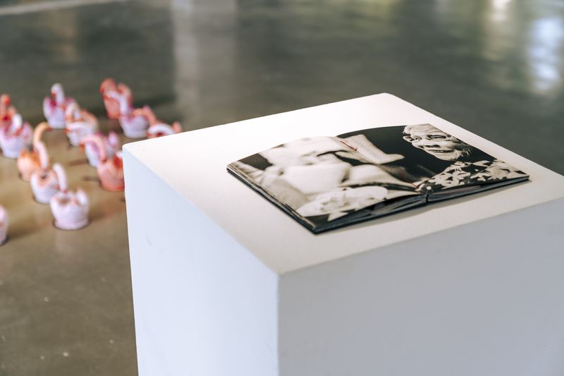 © Kevia Tan - Image from the To Integrate a Derivative photography project