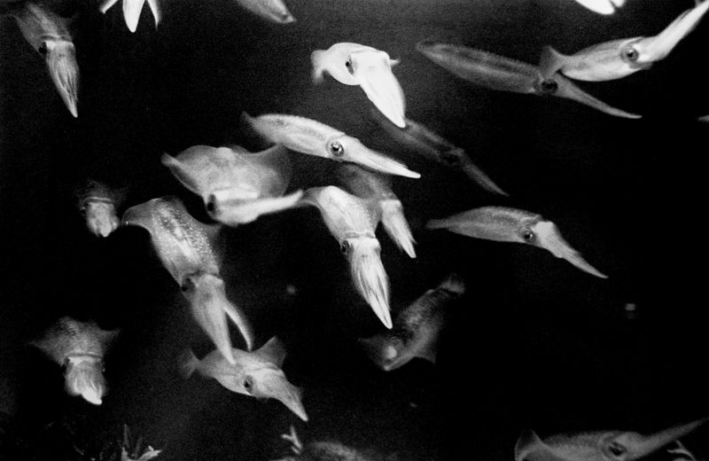 © Eriko Masaoka - Image from the TSUBUTSUMI / 粒神 photography project
