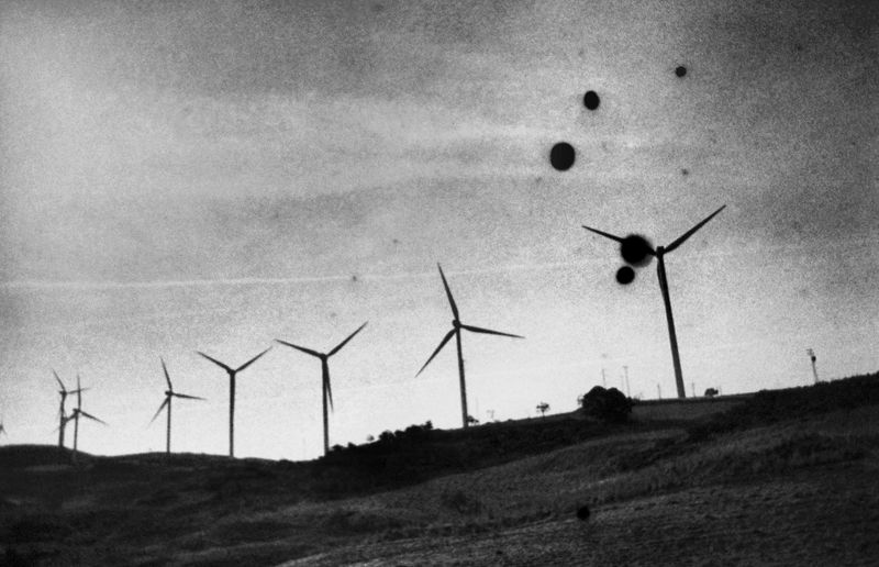 © Eriko Masaoka - Image from the TSUBUTSUMI / 粒神 photography project