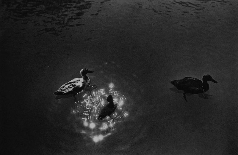 © Eriko Masaoka - Image from the TSUBUTSUMI / 粒神 photography project