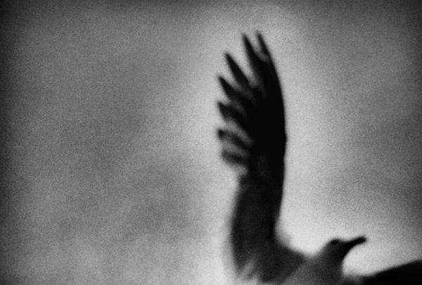 © Eriko Masaoka - Image from the TSUBUTSUMI / 粒神 photography project
