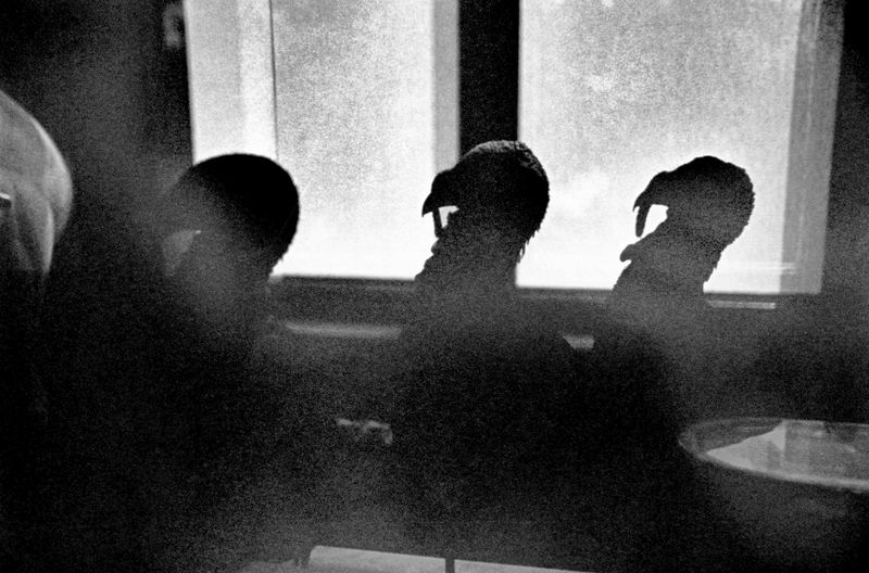 © Eriko Masaoka - Image from the TSUBUTSUMI / 粒神 photography project