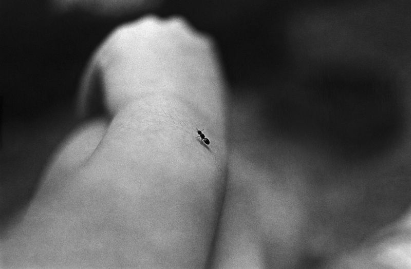 © Eriko Masaoka - Image from the TSUBUTSUMI / 粒神 photography project