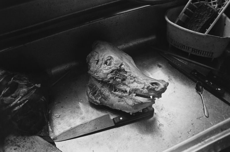 © Eriko Masaoka - Image from the In the Flap of a Bird’s wing, Water Dries Up photography project
